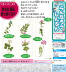 『朝日らんたろう新聞』